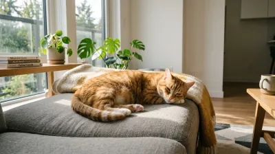 Healthy content cat with bright eyes and glossy coat — the visible signs of a cat thriving once food triggers are identified